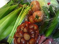 20100924.jpg (18642 oCg)