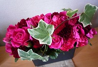 20101224.jpg (14916 oCg)