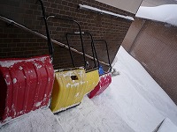 20110102_1.jpg (13857 oCg)