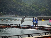 20110430_2.jpg (16535 oCg)