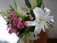 20111009_2.jpg (15351 oCg)