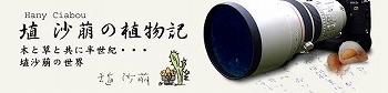͂ ڂ
     傭Ԃ