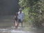 �T�J�i�Ƃ�Ȃ��Ȃ�