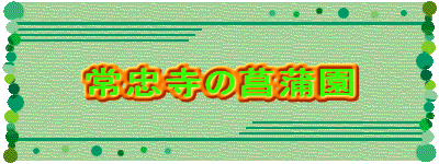 常忠寺の菖蒲園