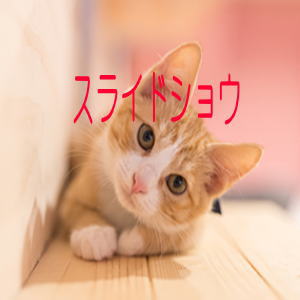 スライドショー表示領域