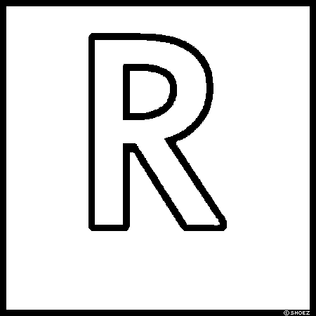 啶R