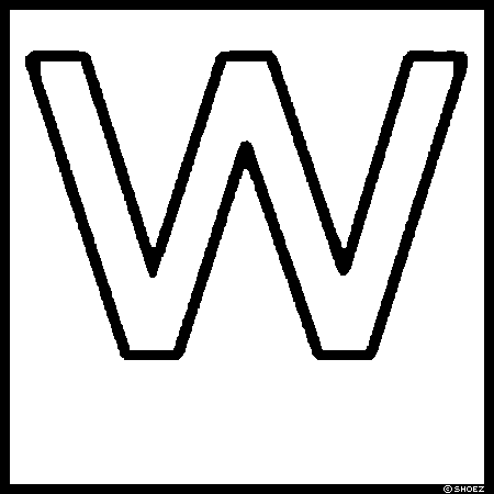 啶W