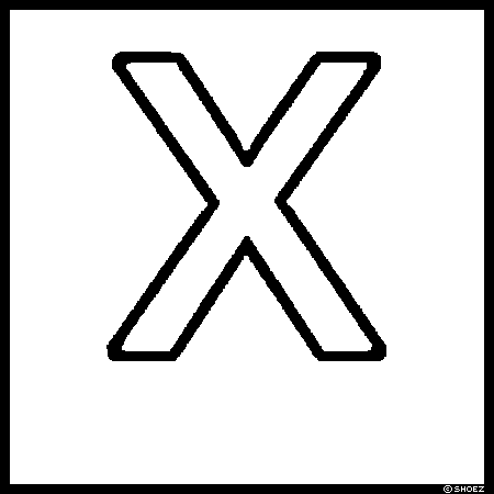 啶X