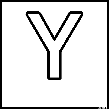 啶Y