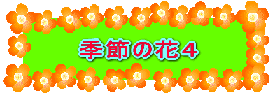 G߂̉ԂS