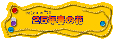 25年春の花