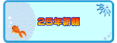 25年朝顔