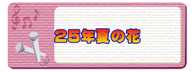 25年夏の花
