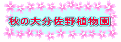 H̑啪A