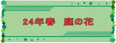 24Nt@̉