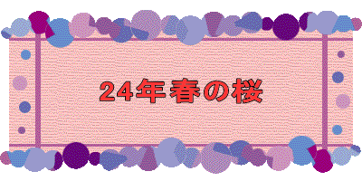 24Nt̍