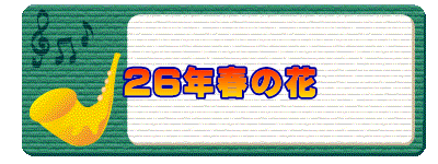 26年春の花 