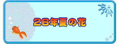 26年夏の花