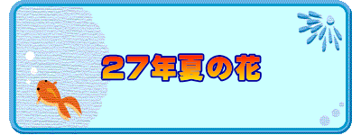 27年夏の花