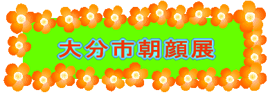 啪sW 