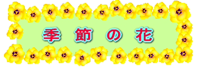G@߁@́@ 