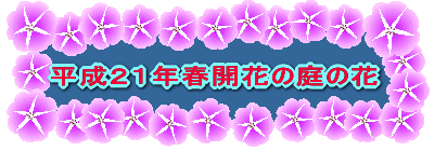 QPNtJԂ̒̉ 
