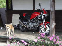 �C���[�W