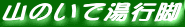 �R�̂��œ��s�r
