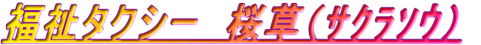 •ŸŽƒƒ^ƒNƒV[@÷‘i»¸×¿³j